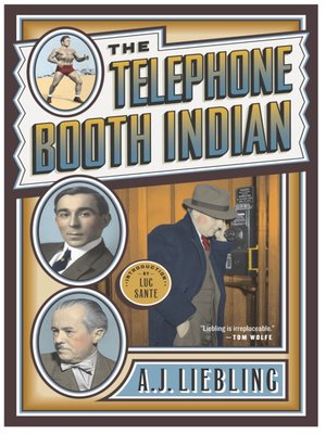 cover image of The Telephone Booth Indian